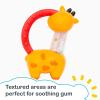 imageSmart Steps Jerry Giraffe Rattle and Teether1 Count Pack of 1